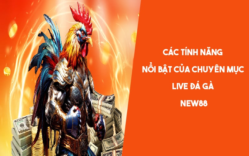 Tính năng nổi bật của live đá gà